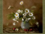 Daisies Still life