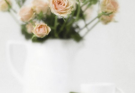 Flowers Still life - flowers, vase, still life, roses