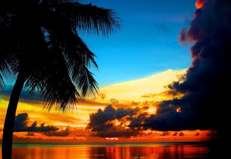 Lovely tropical sunset - sky, beach, sundown, water, sunset, amazing, cloud, reflection, clouds, afternoon, branches, ocean, palm tree, light, palms, shore, lovely, exotic, nature, glow, mirror, red, beautiful, sunrise, sea