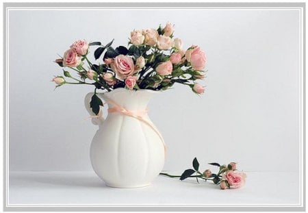 lovely pink roses - flowers, still life, lovely, roses