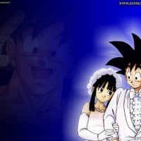 dragon ball z- goku & chi chi