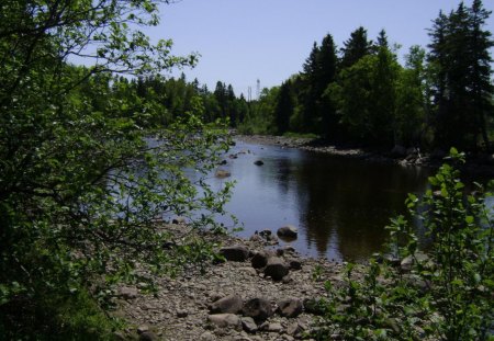 untitle2 - trees, rocks, river