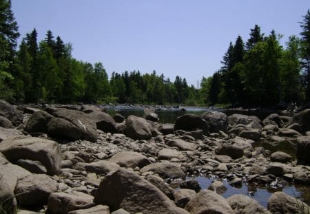 untitle5 - trees, rocky