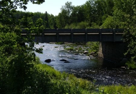 untitle19 - small, trees, water, bridge