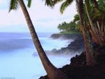 Tree At Beach 