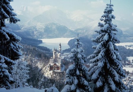 snow blow - snowy trees, white, mountain, snow view