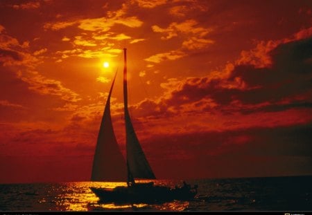 orange sailboats - sailling at sunset, sails at sunset