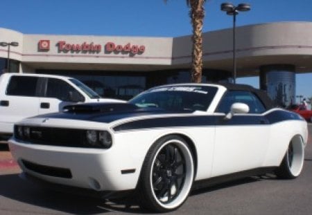 DodgeChallenger - dodge, americanmuscle, car