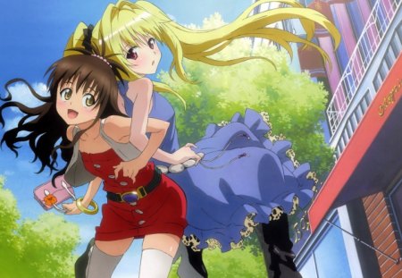 To Love Ru - anime, mikan, to love ru, yami