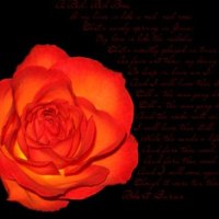 rose with poem