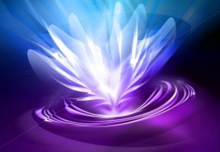 shining lotus - lotus, purple, blue, shine