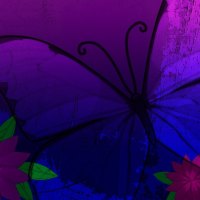 Purple Butterfly