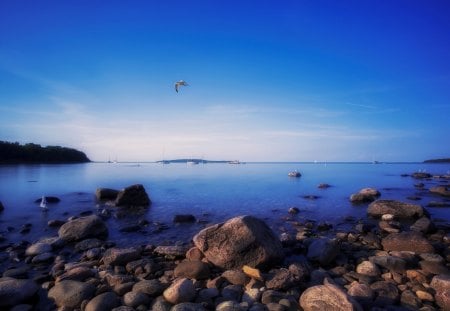 Seagulls by the Rocks - birds, summer, horizons, blue, boat, splendor, seagulls, reflection, sailboats, sailing, view, lake, sky, clouds, water, beautiful, sea, beauty, lovely, ocean, stones, boats, nature, sailboat, seascape, peaceful, rocks