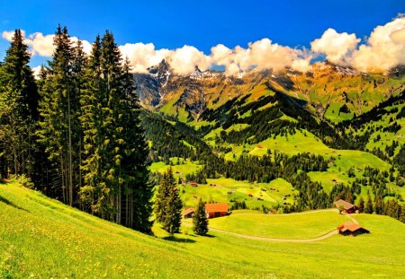 Beautiful mountain village - summer, cabin, grass, mountain, countryside, cottage, sky, clouds, house, trees, beautiful, rustic, peaks, village, slopes, nature, green, peaceful