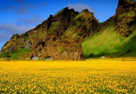 In the foot of the mountain - cottage, sky, slope, colorful, field, meadow, mountainscape, yellow, clouds, green, golden, grass, rocky, houses, mountain, summer, foot, nature, flowers, cabin