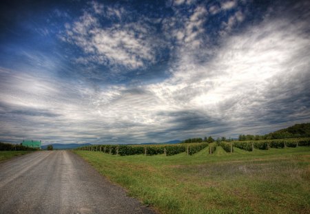 beautiful rural road and sky - road, vinyard, farm, sky