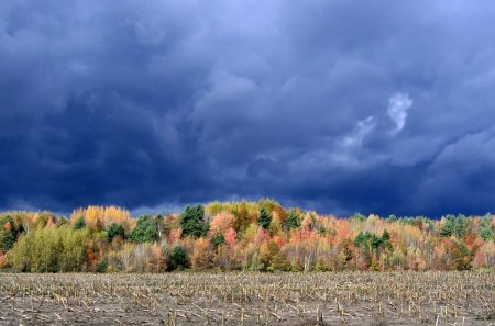 storm after the harvest - corn, clouds, field, forest autumn