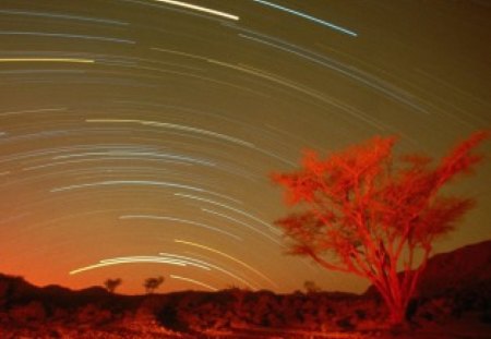 GINGER STARDUST - trees, winter, horizons, stars, sunsets, shooting stars, cg, skies, autumn, landscapes