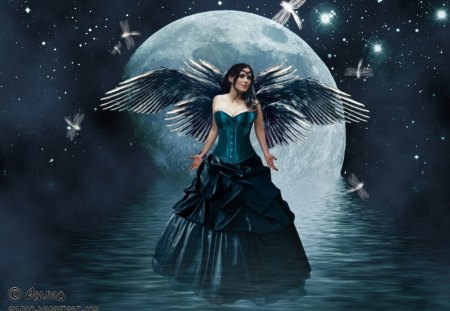 moon fairy - moon, dragon flies, water, wings