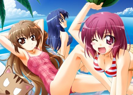 Taiga, Ami & Minorin