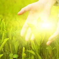 Hands ~ of ~ Light