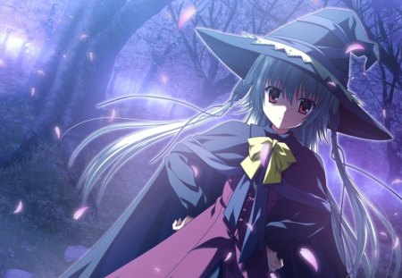 Alice Kamishiro - girl, hat, alice kamishiro, night, anime