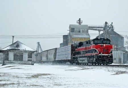 Train Through Atalissa - locomotive, train, rail, atalissa, iowa