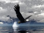 eagle coming out from water