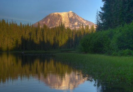 ollalie lake mount adams washington - lake, grass, forest, mountain