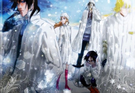 Bleach in the snow - anime, bleach, snow, cold