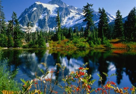 colorful nature - trees, water, mountains, nature