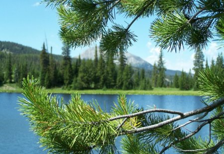 looking at the lake - sky, lake, trees, clouds