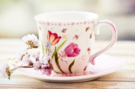 ♥Bright ♥ morning♥ - sunny, forever, soft pink, spring, tea, morning, love, light, flowers, wonderful, tulips, nature, bright