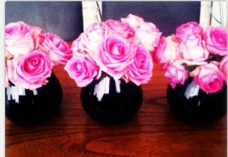 Romantic black vase♥♥♥ - vase, arrangements, fashion, table, entertainment, lovely, bouquets, pink, sweet, three, contrast, precious, black, rose, centerpiece