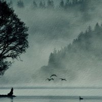 Sea Mist