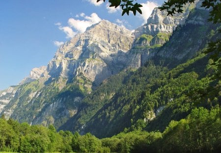 Mountains - forest, nature, mount, jungle