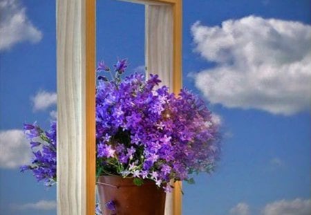 window in the sky - pot, flowers, clouds, purple, sky