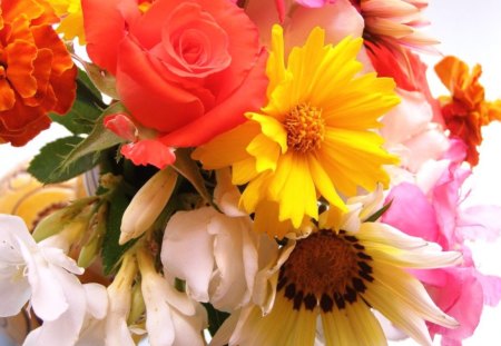 A GIFT FOR DEEJAI FROM MY HEART - daisies, flowers, roses, gifts, faithfulness, spring, friendship, posies