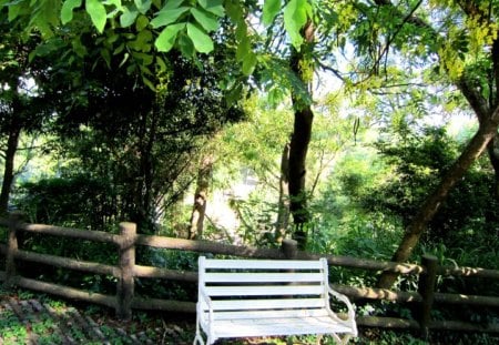 Rest under the  tree shade - under the tree shade, mountain climbing, rest, chair