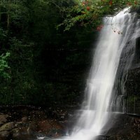 Mountain Ash Falls