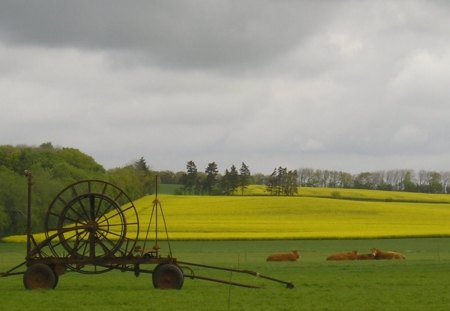 Agriculture At Its Best. - nice, view, a, very