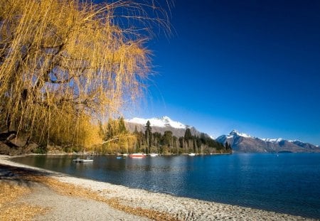 lake wakatipu new zealand