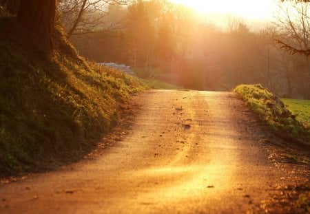 Path - path, road, sunset, nature