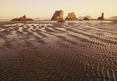 ripples on a tan beach - golden, ripples, beach, rocks