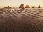 ripples on a tan beach