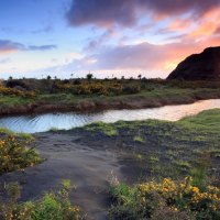 wonderful nature landscape