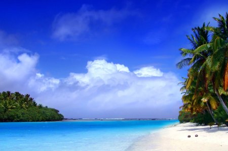 BEACH PARADISE - tropic sea, sunny day, clouds, palms, sandy beach, ocean, crystal water