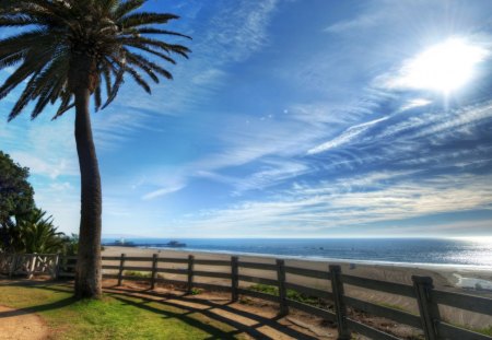 Beautiful View - view, sky, beautiful, sun, palm