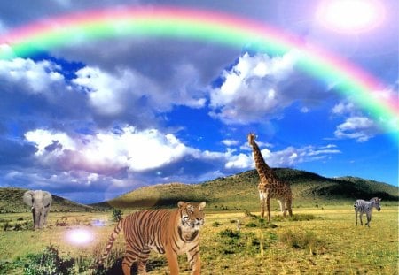 rainbow with wildlife - clouds, zebra, elephant, rainbow