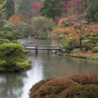 autumn garden